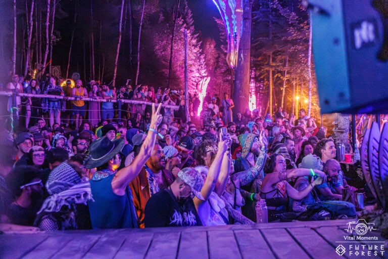 Photo du festival Future Forest 2025