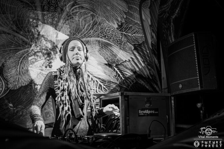Photo du festival Future Forest 2025