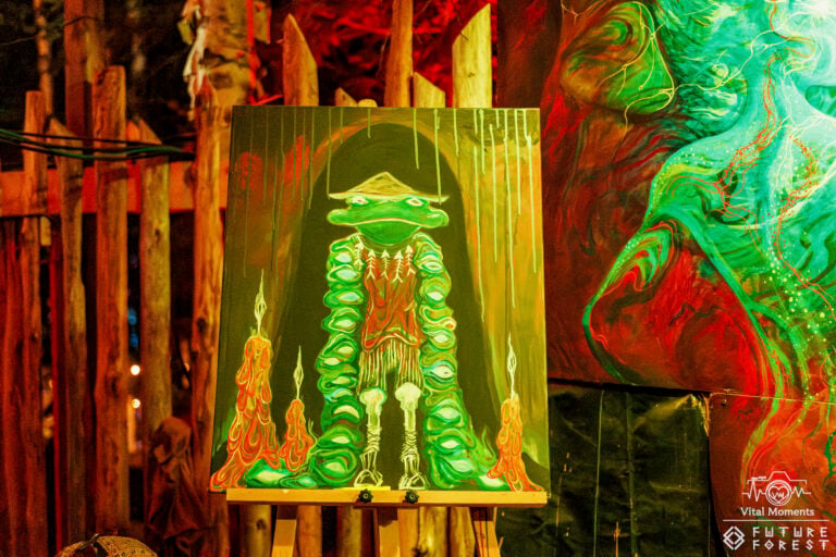 Photo du festival Future Forest 2025
