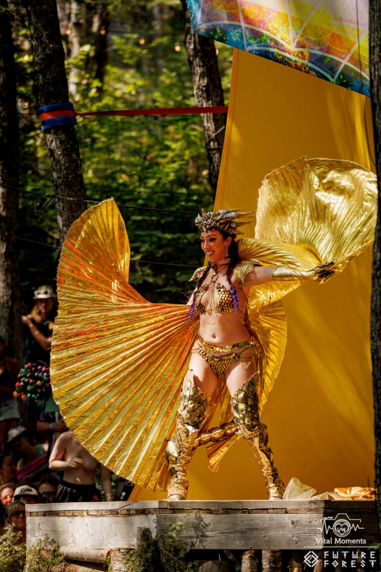Photo du festival Future Forest 2025