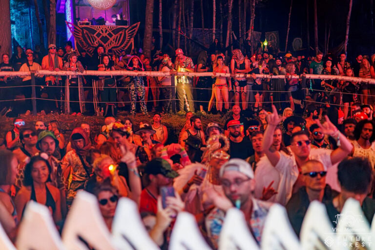 Photo du festival Future Forest 2025