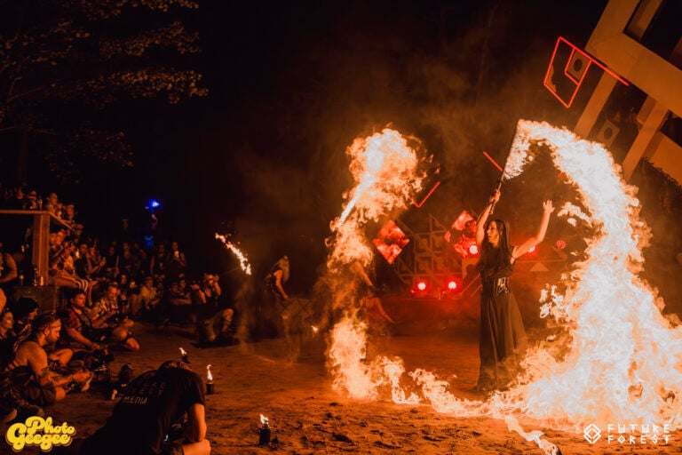 Photo du festival Future Forest 2025
