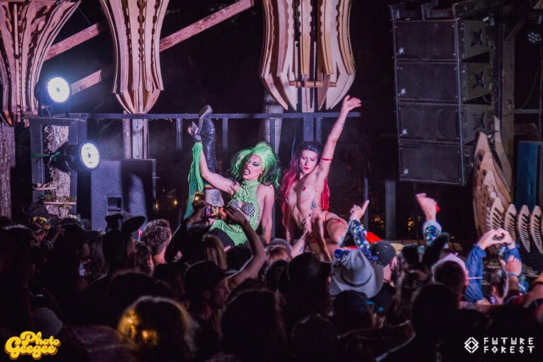 Photo du festival Future Forest 2025