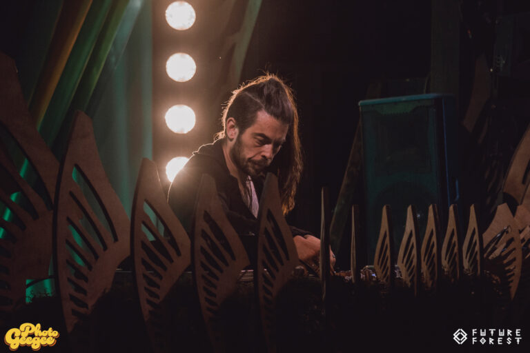 Photo du festival Future Forest 2025