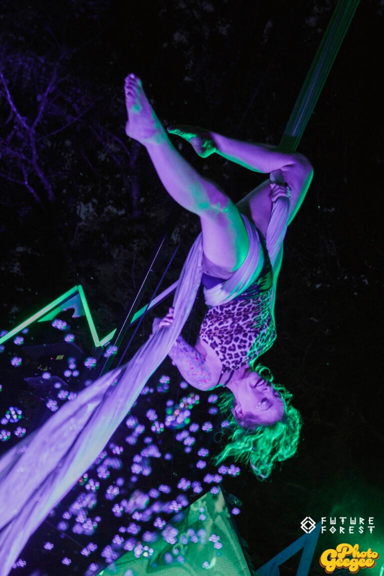 Photo du festival Future Forest 2025