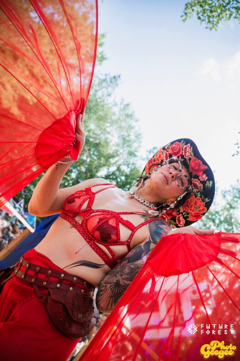 Photo du festival Future Forest 2025