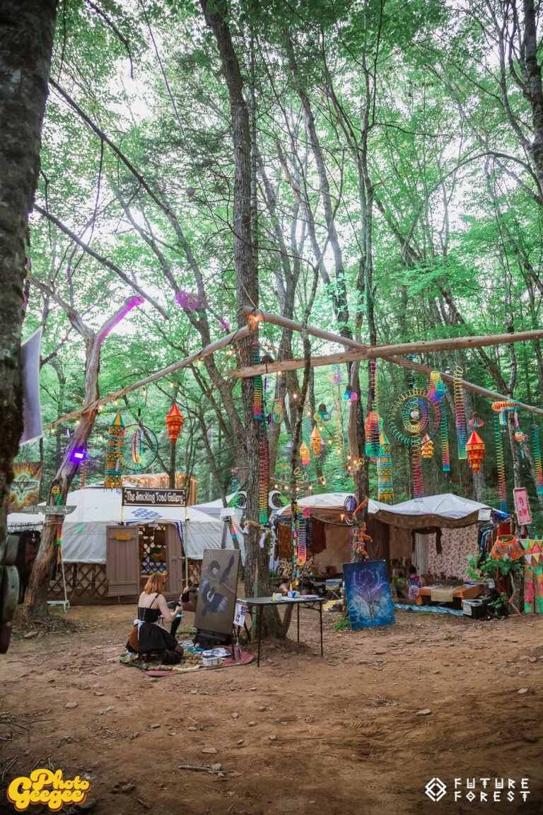 Photo du festival Future Forest 2025