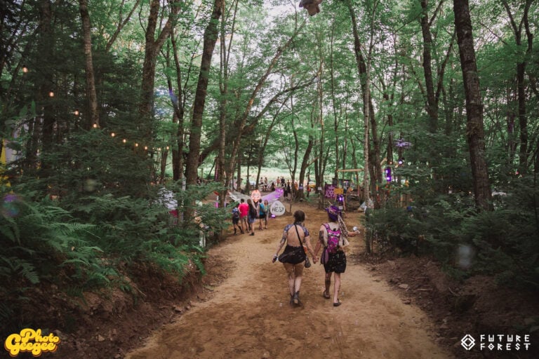 Photo du festival Future Forest 2025