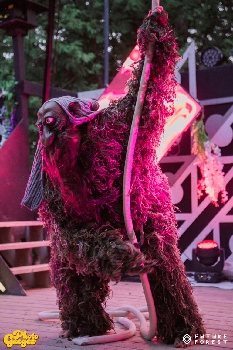 Photo du festival Future Forest 2025