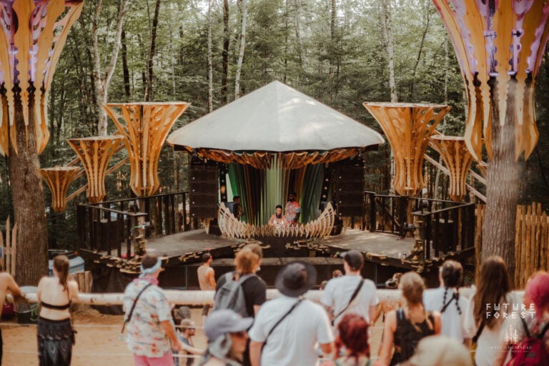 Photo du festival Future Forest 2025
