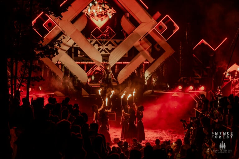 Photo du festival Future Forest 2025