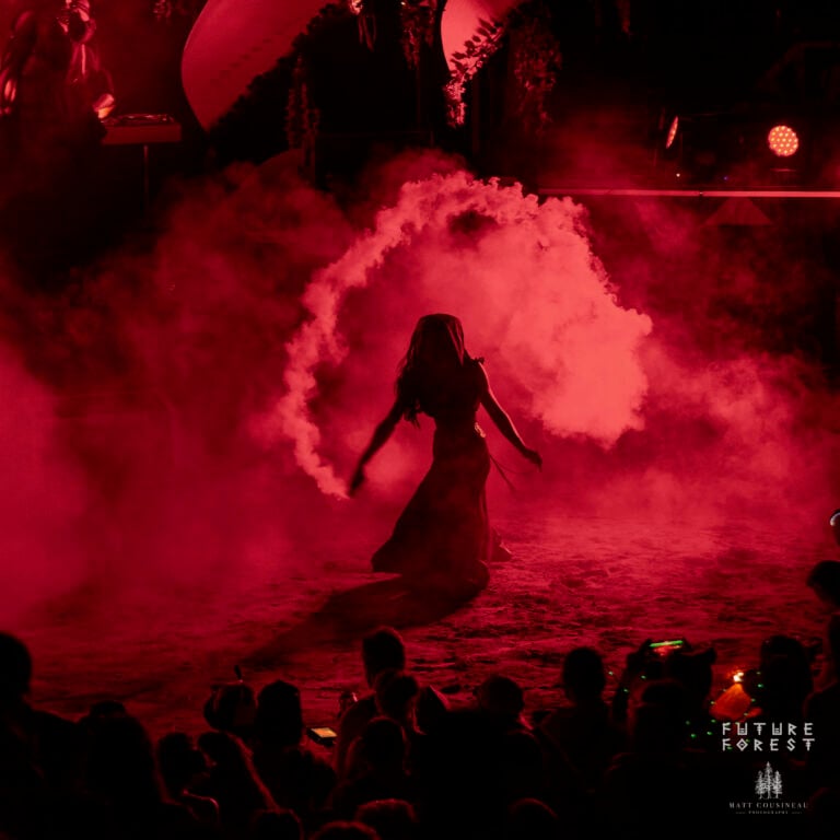 Photo du festival Future Forest 2025