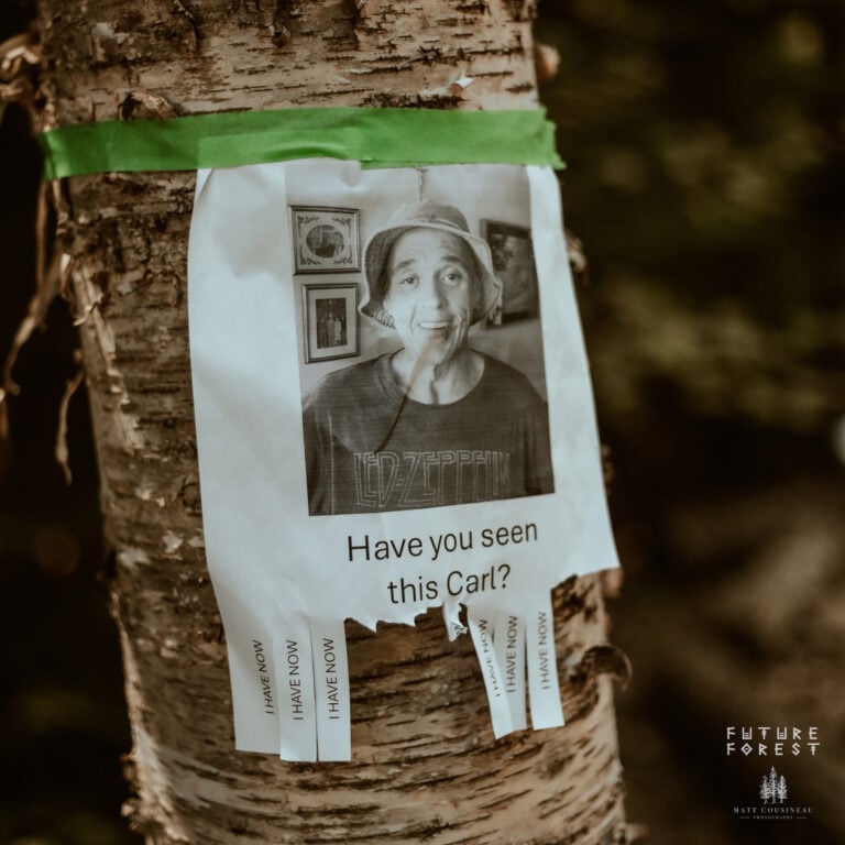 Photo du festival Future Forest 2025