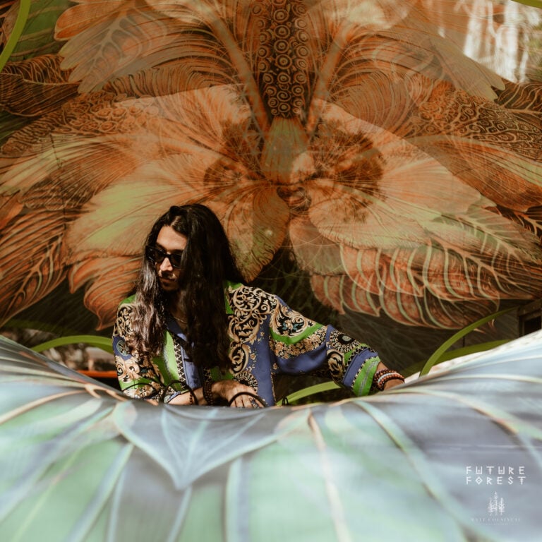 Photo du festival Future Forest 2025