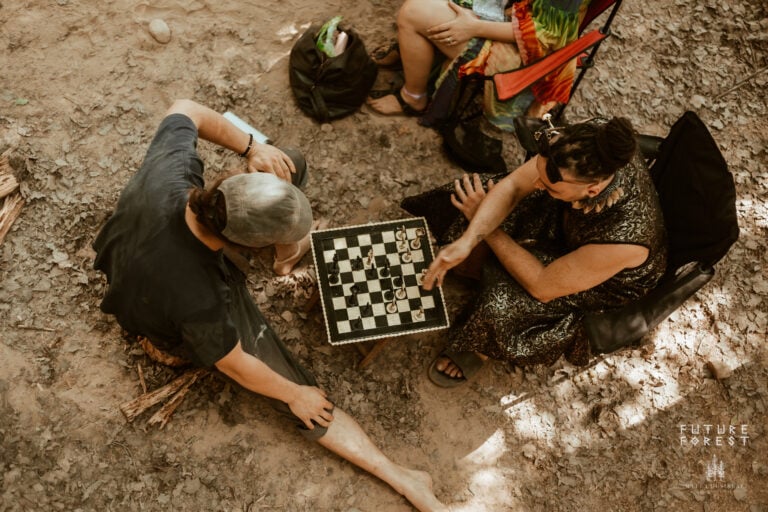 Photo du festival Future Forest 2025
