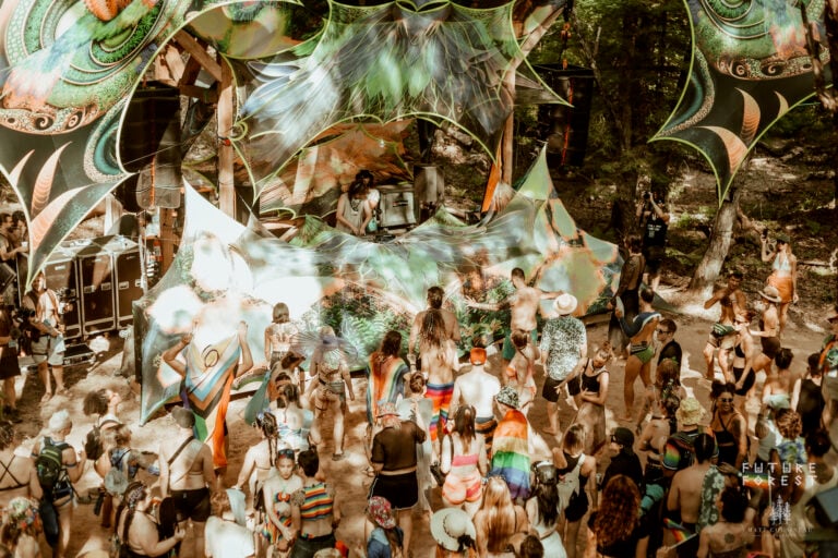 Photo du festival Future Forest 2025