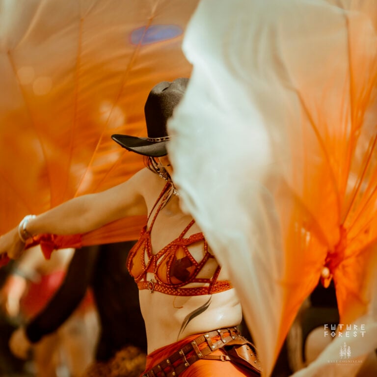Photo du festival Future Forest 2025