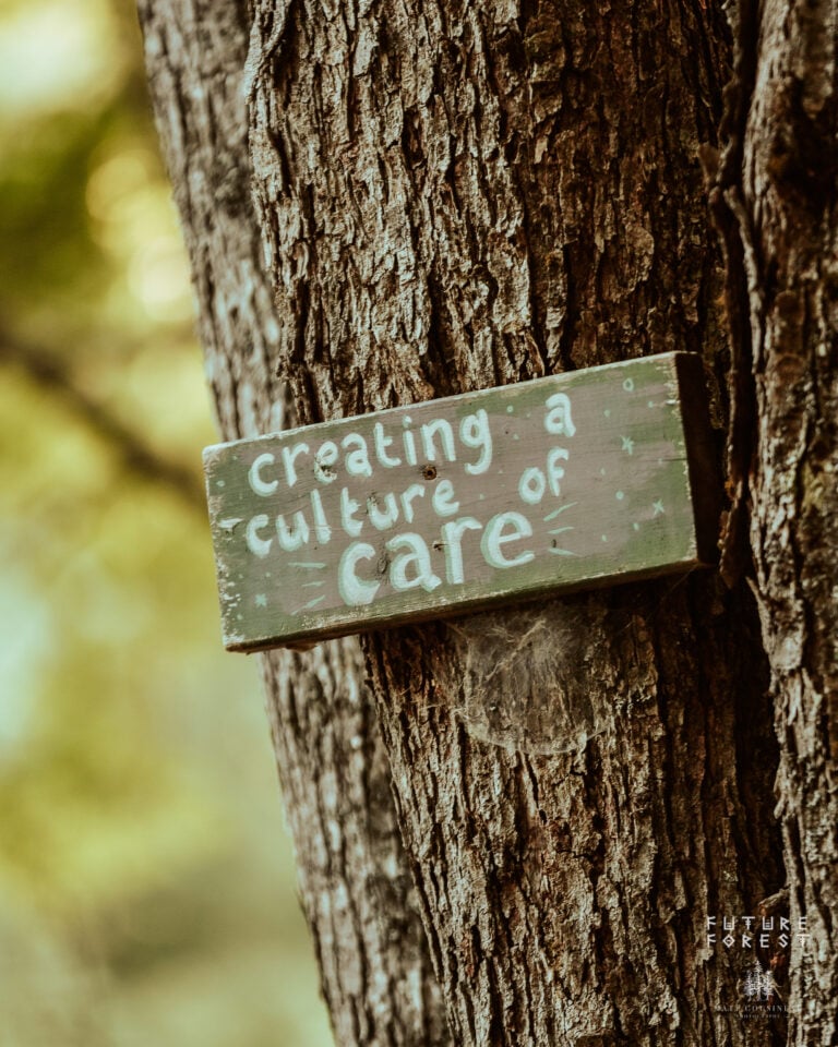 Photo du festival Future Forest 2025