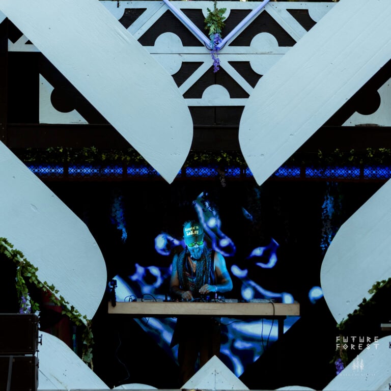 Photo du festival Future Forest 2025