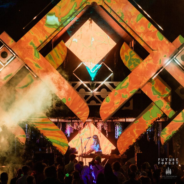 Photo du festival Future Forest 2025