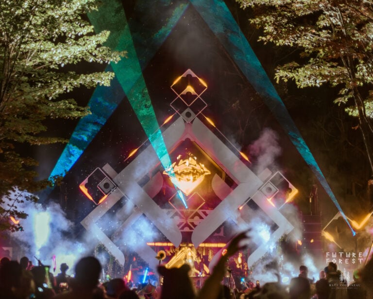 Photo du festival Future Forest 2025