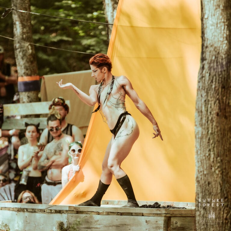 Photo du festival Future Forest 2025