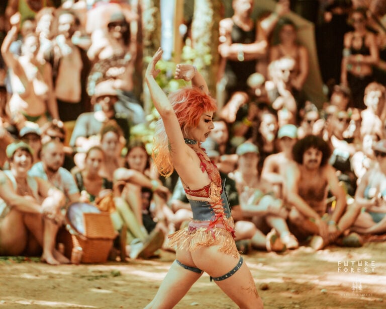 Photo du festival Future Forest 2025
