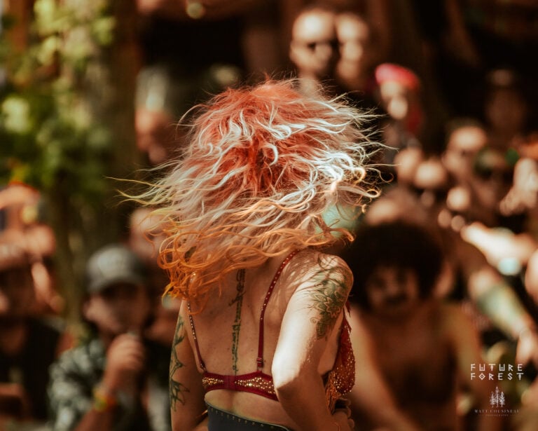 Photo du festival Future Forest 2025
