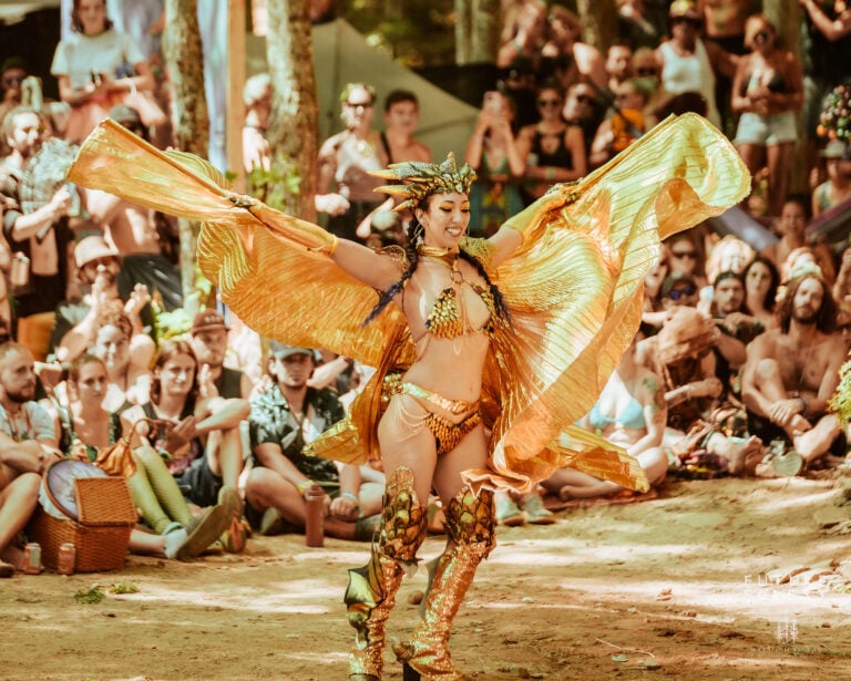 Photo du festival Future Forest 2025