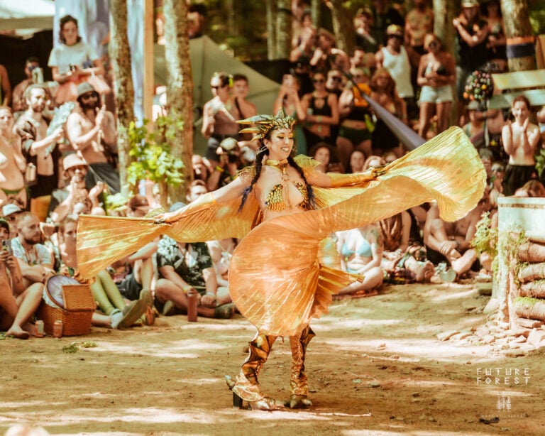 Photo du festival Future Forest 2025