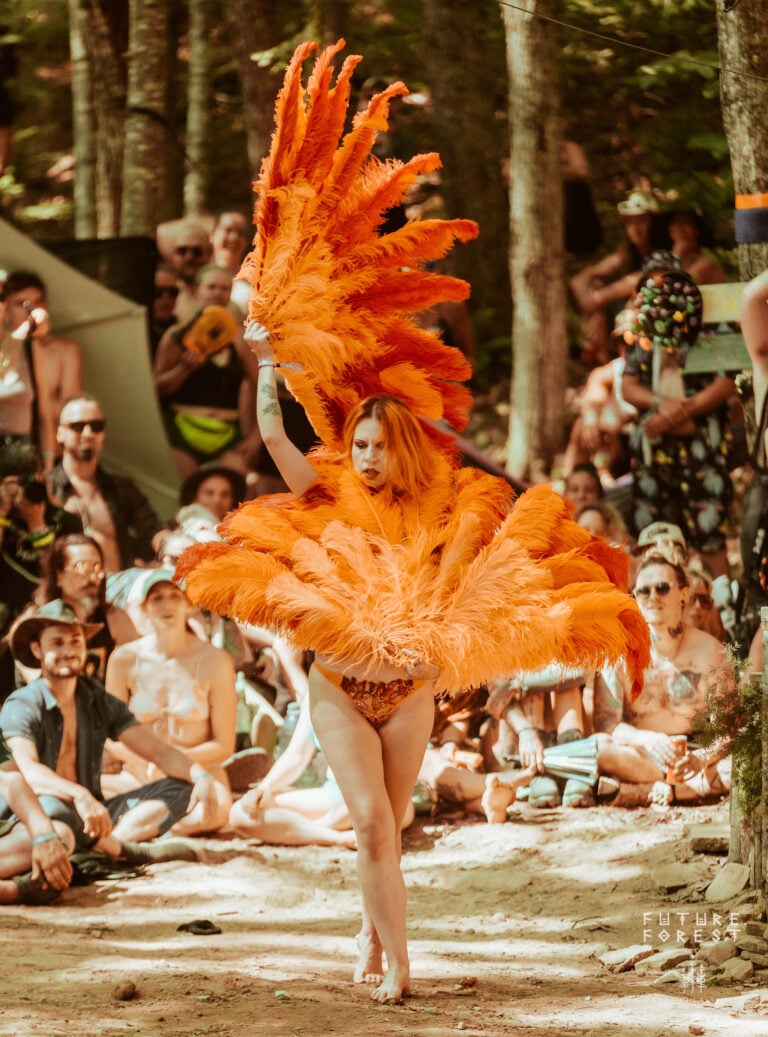 Photo du festival Future Forest 2025