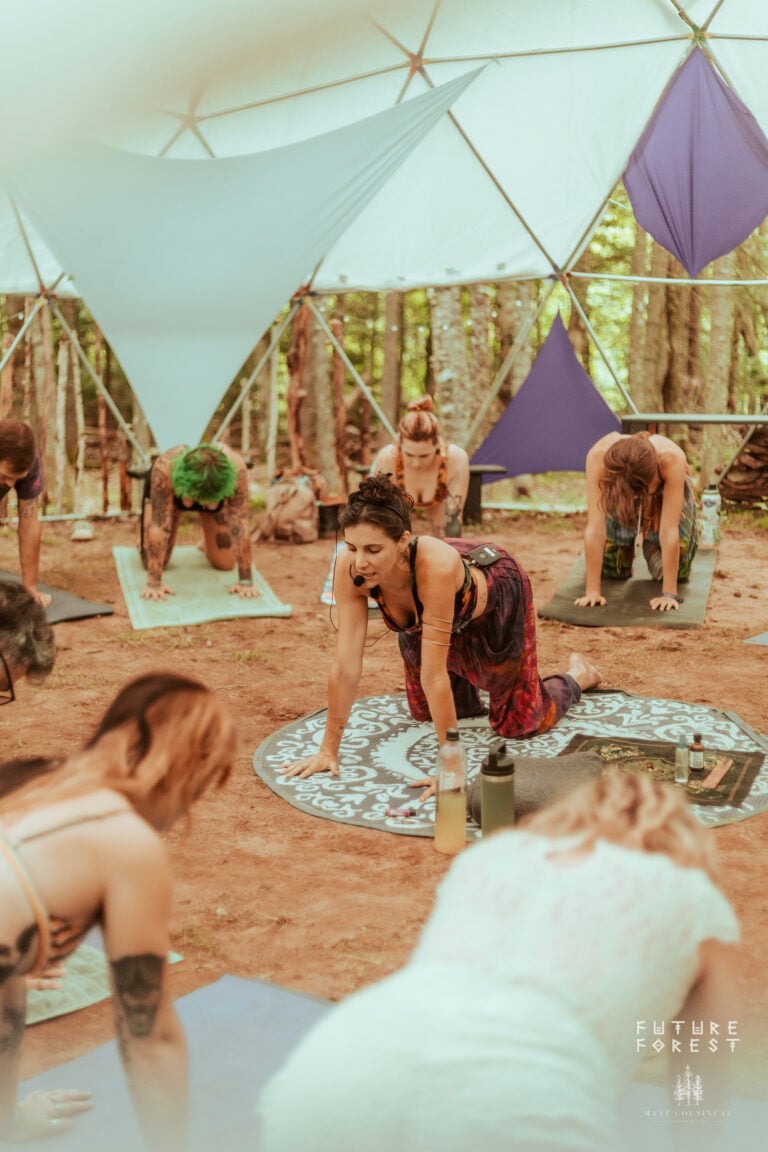 Photo du festival Future Forest 2025
