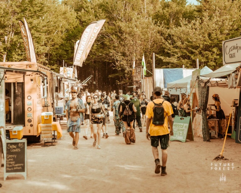 Photo du festival Future Forest 2025