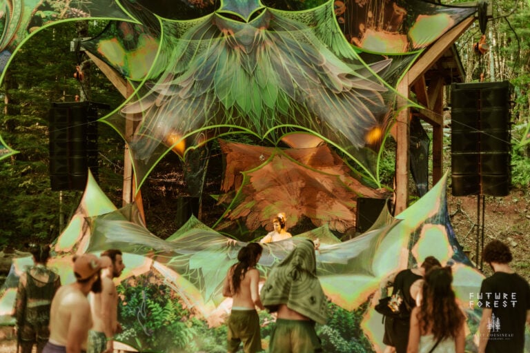 Photo du festival Future Forest 2025