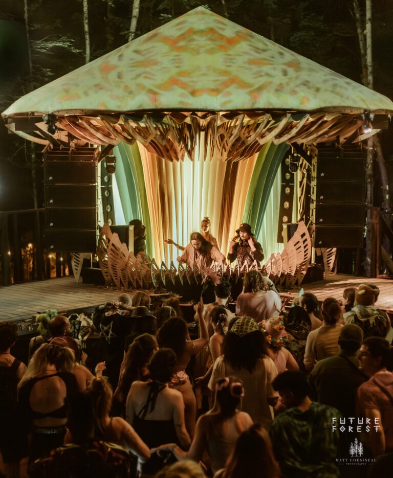 Photo du festival Future Forest 2025