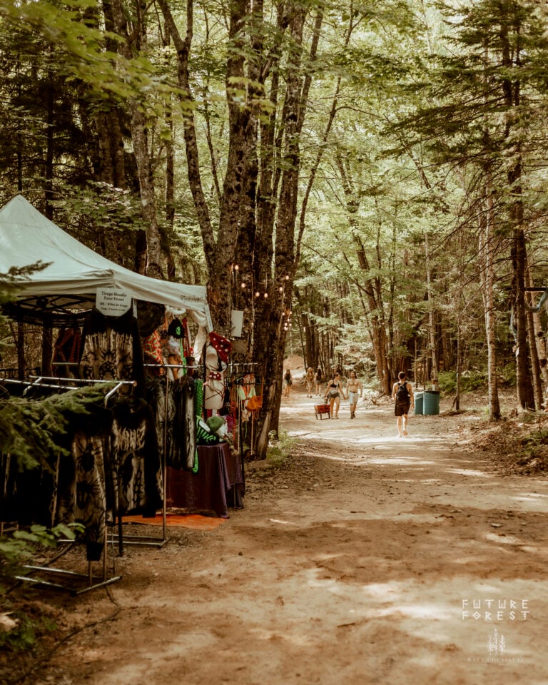 Photo du festival Future Forest 2025