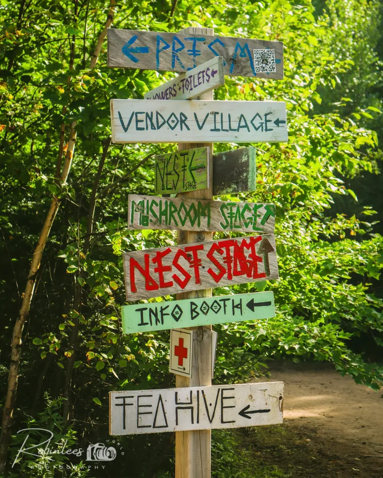 Photo du festival Future Forest 2023