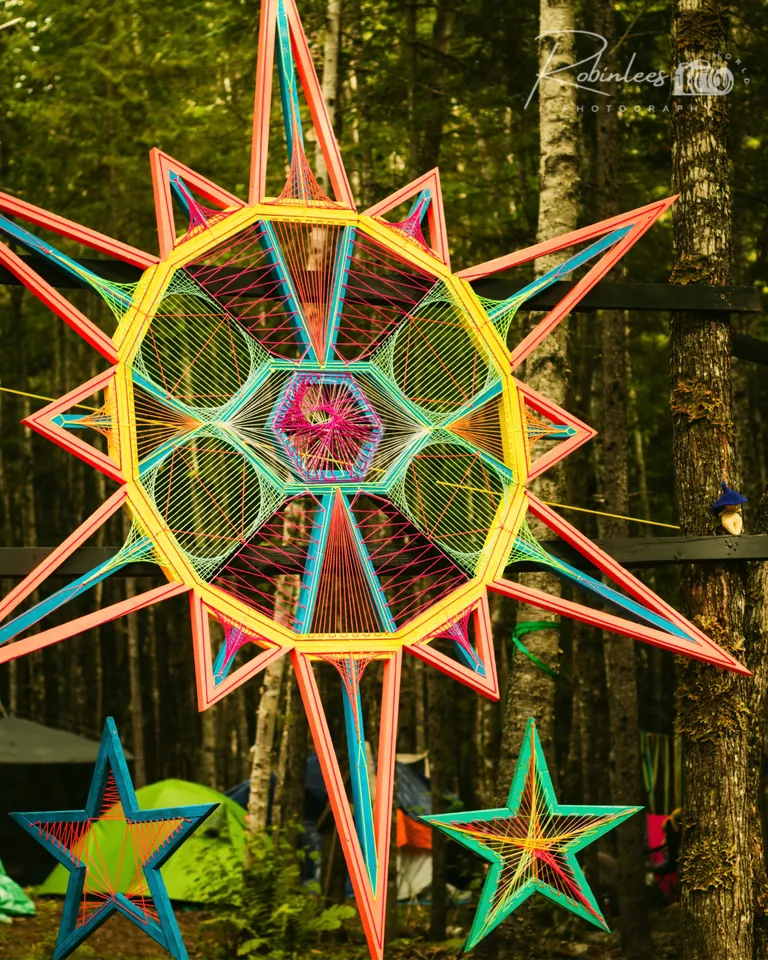Photo du festival Future Forest 2023