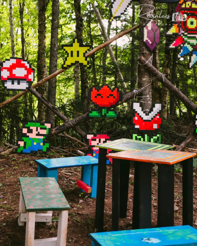 Photo du festival Future Forest 2023