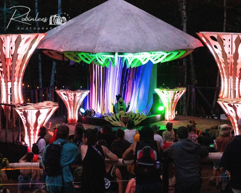 Photo du festival Future Forest 2023