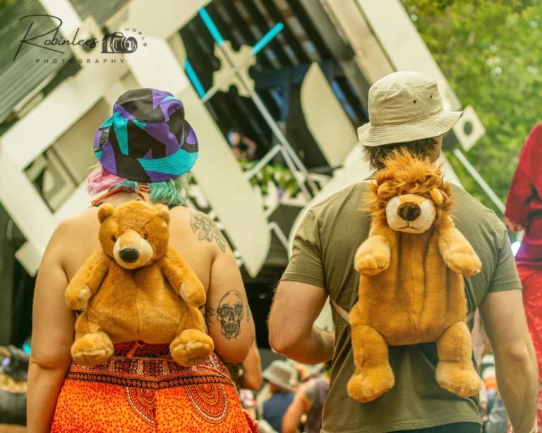 Photo du festival Future Forest 2023